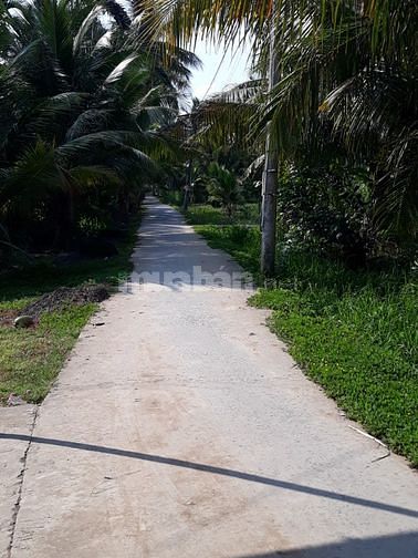 Cần bán mảnh đất nền, trồng dừa 53689551 Cần bán mảnh đất nền, trồng dừa
