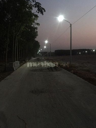 bán đất chính chủ giá 550 tr 240m2 có 100m2 thổ cư 53691116 bán đất chính chủ giá 550 tr 240m2 có 100m2 thổ cư