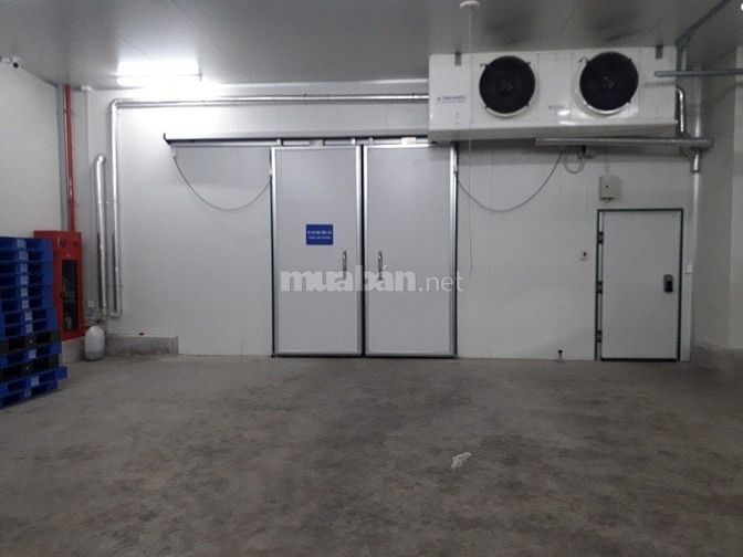 Cho thuê kho đông lạnh - kho mát - mặt bằng trong cụm KCN Nhơn Trạch 3 53741456 Cho thuê kho đông lạnh - kho mát - mặt bằng trong cụm KCN Nhơn Trạch 3