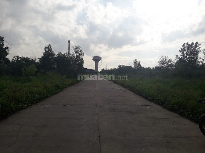 Cho thuê Kho Bãi thuộc Khu Công Nghiệp Long Bình, TP. Biên Hòa 53741956 Cho thuê Kho Bãi thuộc Khu Công Nghiệp Long Bình, TP. Biên Hòa