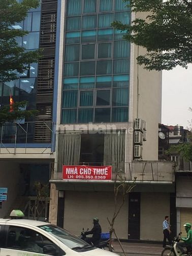 Cho thuê nhà MP Trần Hưng Đạo, 50m2 x 7 tầng, mt5m 53909881 Cho thuê nhà MP Trần Hưng Đạo, 50m2 x 7 tầng, mt5m