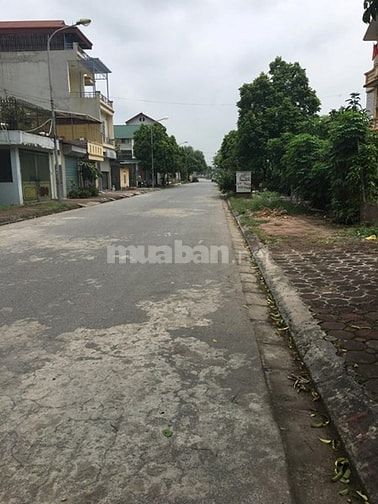 Cho thuê đất khu đô thị 31ha gia lâm 53897324 Cho thuê đất khu đô thị 31ha gia lâm