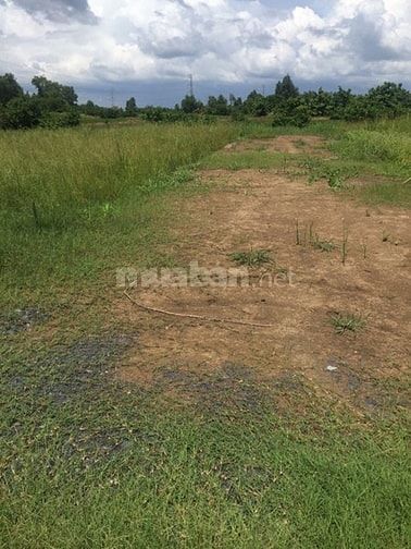 Bán đất 8.100m2 Ổ Cu Kiến Vàng. Giá 2tr/m2 53887743 Bán đất 8.100m2 Ổ Cu Kiến Vàng. Giá 2tr/m2