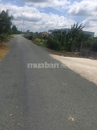Bán đất 8.100m2 Ổ Cu Kiến Vàng. Giá 2tr/m2 53887743 Bán đất 8.100m2 Ổ Cu Kiến Vàng. Giá 2tr/m2