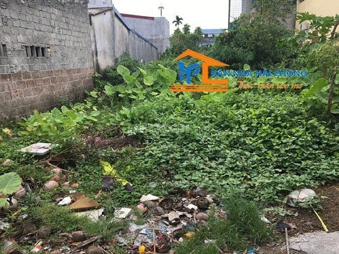 Chuyển nhượng lô đất tại Phù Liễn, Kiến An, Hải Phòng 53931411 Chuyển nhượng lô đất tại Phù Liễn, Kiến An, Hải Phòng