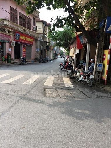 Bán đất Viện Rau, Trâu Quỳ, Gia Lâm, Giá Rẻ 53934876 Bán đất Viện Rau, Trâu Quỳ, Gia Lâm, Giá Rẻ