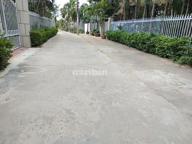 Cần Bán Đất Xã Điện Thắng Bắc - Thị Xã Điện Bàn - Quảng Nam. 53975100 Cần Bán Đất Xã Điện Thắng Bắc - Thị Xã Điện Bàn - Quảng Nam.