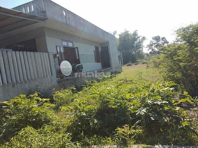 Cần Bán Đất Xã Điện Thắng Bắc - Thị Xã Điện Bàn - Quảng Nam. 53975100 Cần Bán Đất Xã Điện Thắng Bắc - Thị Xã Điện Bàn - Quảng Nam.
