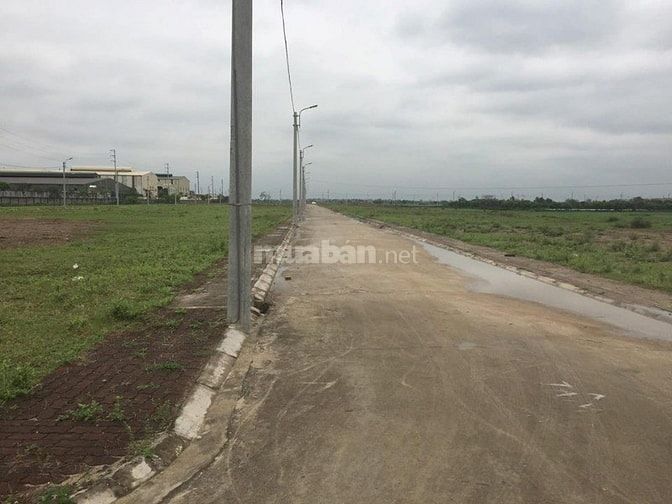 Bán đất đấu giá xã Nguyễn Trãi, Thường Tín 53976193 Bán đất đấu giá xã Nguyễn Trãi, Thường Tín