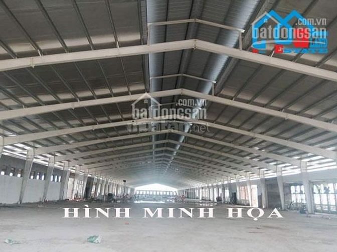 Cho thuê kho xưởng khu Dương Kinh 54036795 Cho thuê kho xưởng khu Dương Kinh