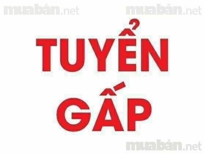 Cần tuyển gấp nhân viên văn phòng làm việc tại chi nhánh 54053485 Cần tuyển gấp nhân viên văn phòng làm việc tại chi nhánh