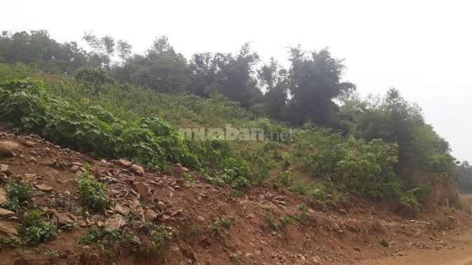 Cần sang nhượng gấp 3600m2 đất mặt hồ Đồng Bồ, xã Đông xuân, Quốc Oai. 54075379 Cần sang nhượng gấp 3600m2 đất mặt hồ Đồng Bồ, xã Đông xuân, Quốc Oai.