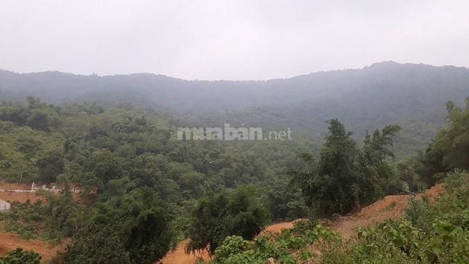 Cần sang nhượng gấp 3600m2 đất mặt hồ Đồng Bồ, xã Đông xuân, Quốc Oai. 54075379 Cần sang nhượng gấp 3600m2 đất mặt hồ Đồng Bồ, xã Đông xuân, Quốc Oai.