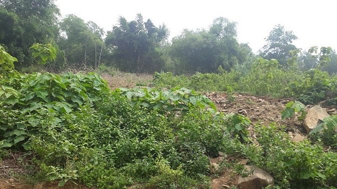 Cần sang nhượng gấp 3600m2 đất mặt hồ Đồng Bồ, xã Đông xuân, Quốc Oai. 54075379 Cần sang nhượng gấp 3600m2 đất mặt hồ Đồng Bồ, xã Đông xuân, Quốc Oai.