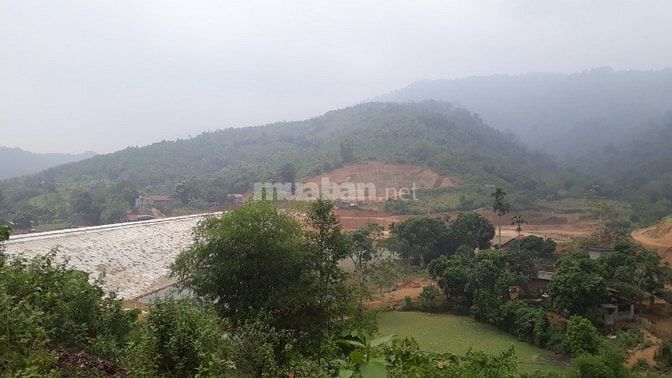 Cần sang nhượng gấp 3600m2 đất mặt hồ Đồng Bồ, xã Đông xuân, Quốc Oai. 54075379 Cần sang nhượng gấp 3600m2 đất mặt hồ Đồng Bồ, xã Đông xuân, Quốc Oai.