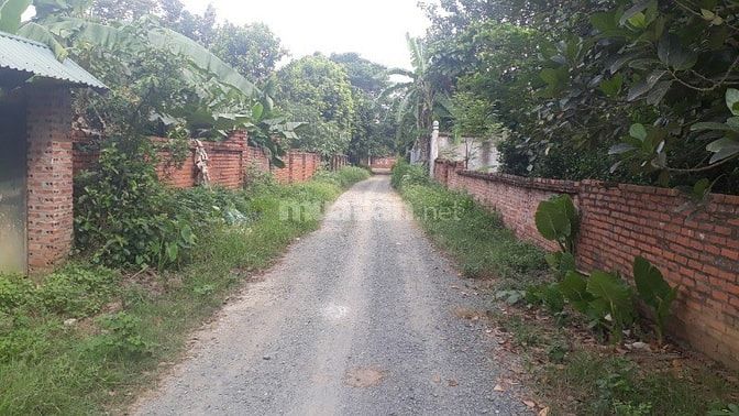 Bán thanh lý 1082m2 đất thổ cư phân lô đầu tư tại Phú Cát, Quốc Oai. 54065321 Bán thanh lý 1082m2 đất thổ cư phân lô đầu tư tại Phú Cát, Quốc Oai.