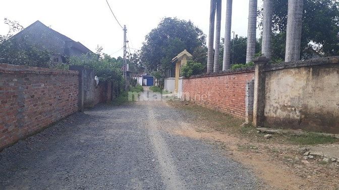 Bán thanh lý 1082m2 đất thổ cư phân lô đầu tư tại Phú Cát, Quốc Oai. 54065321 Bán thanh lý 1082m2 đất thổ cư phân lô đầu tư tại Phú Cát, Quốc Oai.