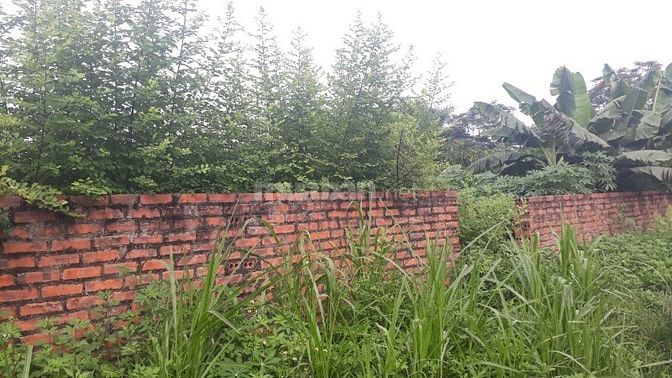 Bán thanh lý 1082m2 đất thổ cư phân lô đầu tư tại Phú Cát, Quốc Oai. 54065321 Bán thanh lý 1082m2 đất thổ cư phân lô đầu tư tại Phú Cát, Quốc Oai.