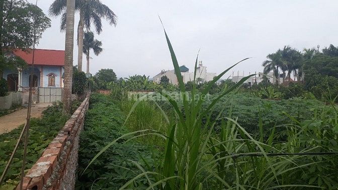 Bán thanh lý 1082m2 đất thổ cư phân lô đầu tư tại Phú Cát, Quốc Oai. 54065321 Bán thanh lý 1082m2 đất thổ cư phân lô đầu tư tại Phú Cát, Quốc Oai.