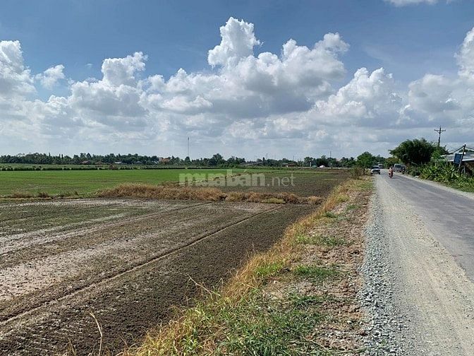 Cần bán lô đất nông nghiệp 6000m giá 1,250tr/ 1000m . 54105286 Cần bán lô đất nông nghiệp 6000m giá 1,250tr/ 1000m .