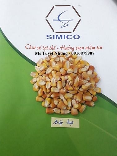 Chuyên cung cấp bắp hạt, thức ăn chăn nuôi 54090935 Chuyên cung cấp bắp hạt, thức ăn chăn nuôi
