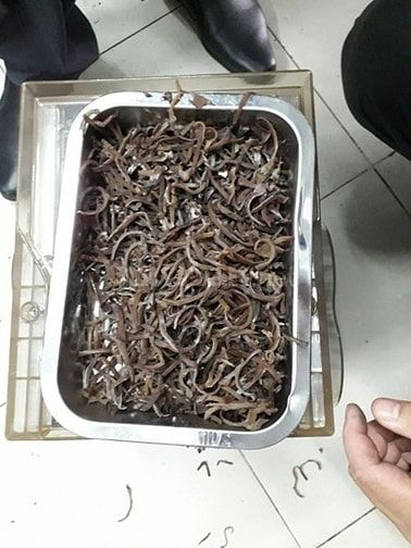 Máy cắt sợi nấm tai mèo,máy cắt lát thịt bò, thịt heo dùng cho quán ăn 54128565 Máy cắt sợi nấm tai mèo,máy cắt lát thịt bò, thịt heo dùng cho quán ăn