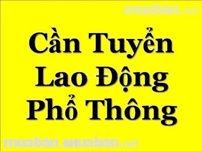 Thông báo tuyển gấp lao động phổ thông đứng bán hàng 54141238 Thông báo tuyển gấp lao động phổ thông đứng bán hàng