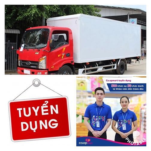 Tuyển 8 lái xe và 16 phụ xe làm tại Long Xuyên 46205886 Tuyển 8 lái xe và 16 phụ xe làm tại Long Xuyên