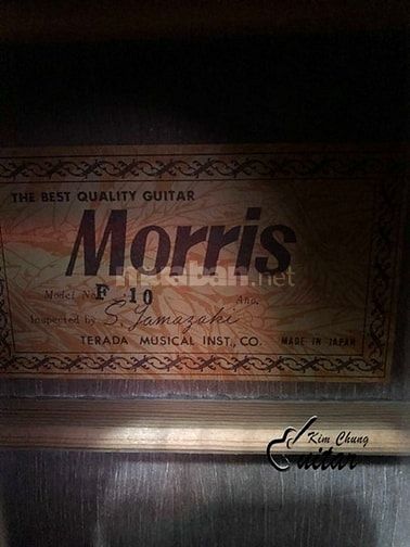 Đàn guitar acoustic Morris F-10 54280464 Đàn guitar acoustic Morris F-10