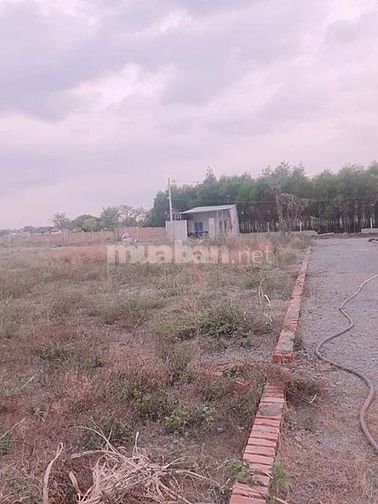 Bán đất Hương Lộ 6 vào 200m, gần chợ thạnh phú, vĩnh cửu 54299260 Bán đất Hương Lộ 6 vào 200m, gần chợ thạnh phú, vĩnh cửu