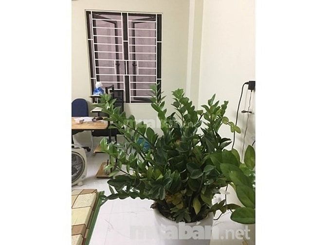 Cho thuê nhà nguyên căn giá 45 triệu 54310641 Cho thuê nhà nguyên căn giá 45 triệu