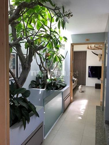 Bán tòa nhà căn hộ dịch vụ Q4 thu nhập 180tr/tháng 54307486 Bán tòa nhà căn hộ dịch vụ Q4 thu nhập 180tr/tháng