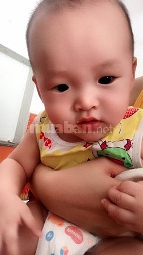 Mình cần tìm người chăm em bé 6 tháng tuổi tại nhà. 54304548 Mình cần tìm người chăm em bé 6 tháng tuổi tại nhà.