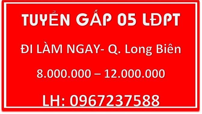 Tuyển dụng 05 lao động phổ thông đi làm ngay 53588267 Tuyển dụng 05 lao động phổ thông đi làm ngay