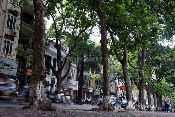Sang nhượng cửa hàng mặt phố nguyễn khang 54360234 Sang nhượng cửa hàng mặt phố nguyễn khang