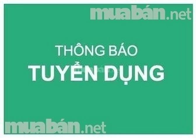 Công ty tuyển 04 nhân viên trợ lý nhân sự 54375699 Công ty tuyển 04 nhân viên trợ lý nhân sự