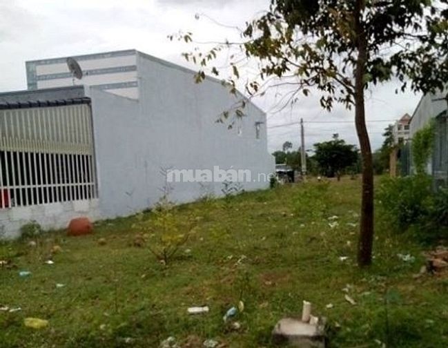 Làm ăn trục trặc, xoay tiền trả nợ cho công nhân nên phải bán gấp 360m 54367192 Làm ăn trục trặc, xoay tiền trả nợ cho công nhân nên phải bán gấp 360m