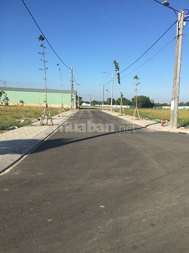 Đất vàng thương mại cách chợ trung tâm 1km 54392758 Đất vàng thương mại cách chợ trung tâm 1km