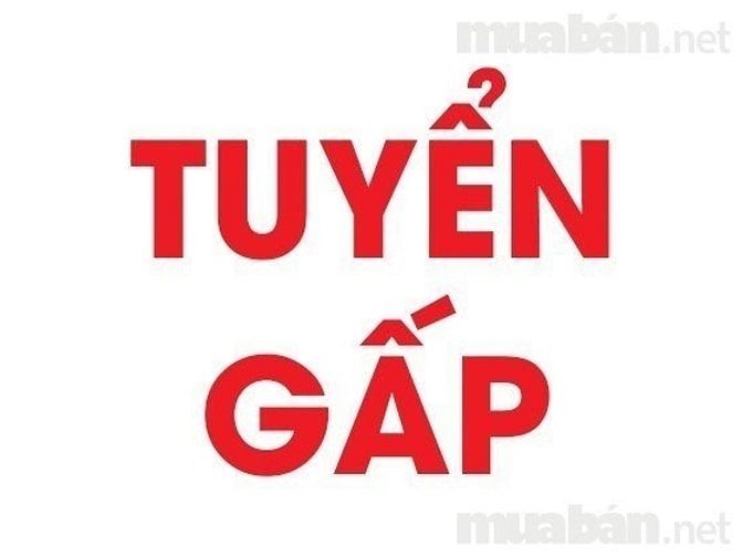 Tuyển dụng gấp: 02 nhân viên văn phòng hành chính nhân sự 54424676 Tuyển dụng gấp: 02 nhân viên văn phòng hành chính nhân sự