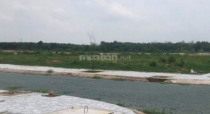 Đầu tư ở đâu để sinh lợi nhuận . KDC Ngân Long đất vàng chỉ 650tr/nền 54460714 Đầu tư ở đâu để sinh lợi nhuận . KDC Ngân Long đất vàng chỉ 650tr/nền