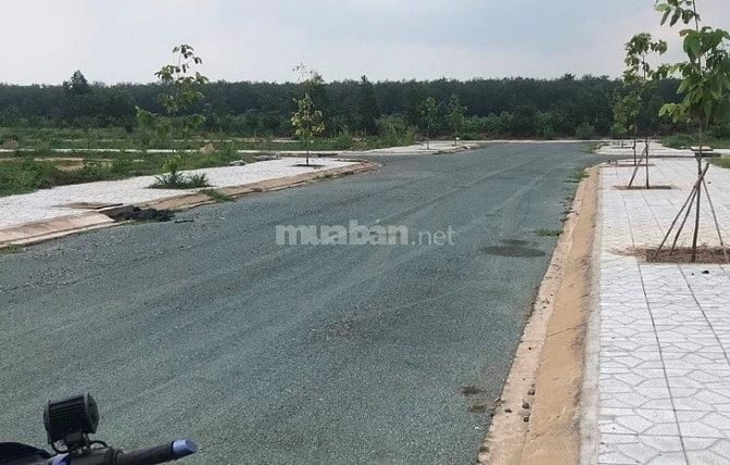 Đầu tư ở đâu để sinh lợi nhuận . KDC Ngân Long đất vàng chỉ 650tr/nền 54460714 Đầu tư ở đâu để sinh lợi nhuận . KDC Ngân Long đất vàng chỉ 650tr/nền