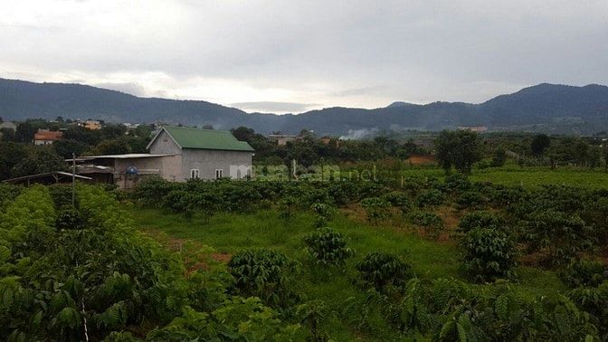 Đất làm khu nghỉ dưỡng cuối tuần cần bán 54491820 Đất làm khu nghỉ dưỡng cuối tuần cần bán