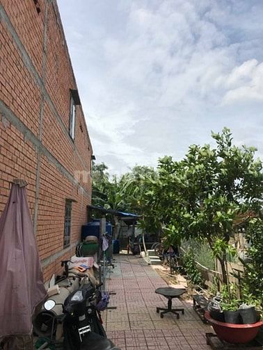 Cần bán nhà xã mỹ lộc cần giuộc long an 11x27 giá 3.5 tỷ 54487736 Cần bán nhà xã mỹ lộc cần giuộc long an 11x27 giá 3.5 tỷ