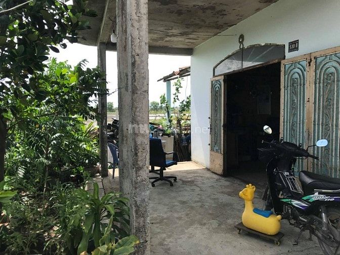 Cần bán nhà xã mỹ lộc cần giuộc long an 11x27 giá 3.5 tỷ 54487736 Cần bán nhà xã mỹ lộc cần giuộc long an 11x27 giá 3.5 tỷ