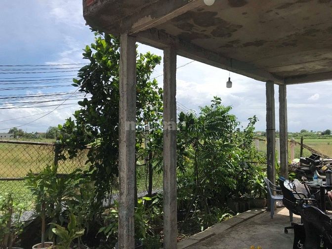Cần bán nhà xã mỹ lộc cần giuộc long an 11x27 giá 3.5 tỷ 54487736 Cần bán nhà xã mỹ lộc cần giuộc long an 11x27 giá 3.5 tỷ