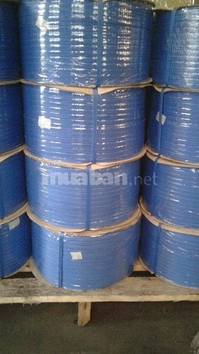 Dây đai PVC giá sỉ giao hàng toàn quốc 54470536 Dây đai PVC giá sỉ giao hàng toàn quốc