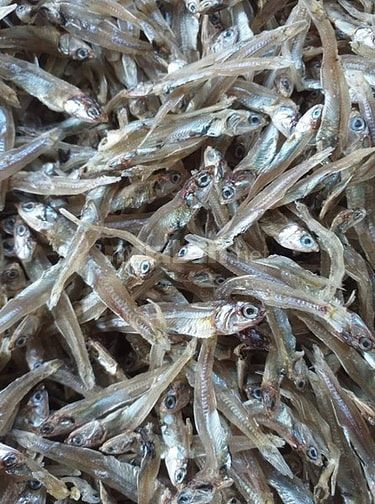 Cá khô nhà làm thích hợp để làm các món ăn ngày mưa 54508434 Cá khô nhà làm thích hợp để làm các món ăn ngày mưa