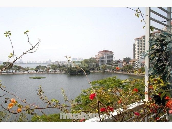 Cho Thuê Tòa Nhà Làm CHDV 8 Phòng Full Đồ Tại Tây Hồ. 54508732 Cho Thuê Tòa Nhà Làm CHDV 8 Phòng Full Đồ Tại Tây Hồ.