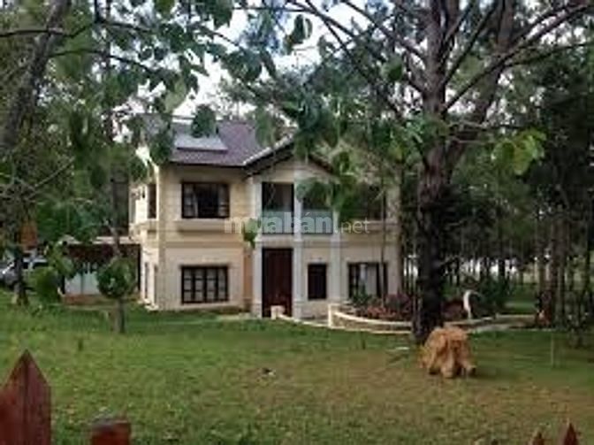 Cho thuê villa đường 20,p. bình an, q2. 8x16m, trệt, 2l, 54496278 Cho thuê villa đường 20,p. bình an, q2. 8x16m, trệt, 2l,