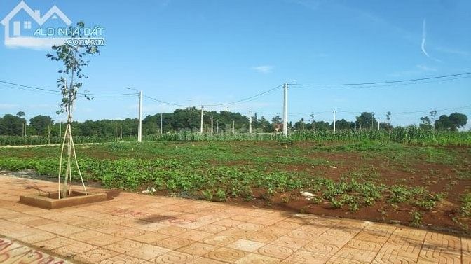 Cần sang lại 2 Công đất mặt tiền thông QL14, 1025m, giá 570 triệu 54596887 Cần sang lại 2 Công đất mặt tiền thông QL14, 1025m, giá 570 triệu